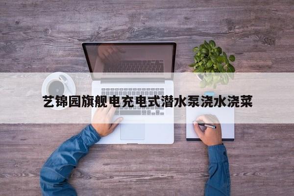 藝錦園旗艦電充電式潛水泵澆水澆菜