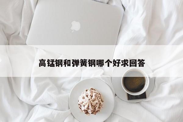 高錳鋼和彈簧鋼哪個(gè)好求回答