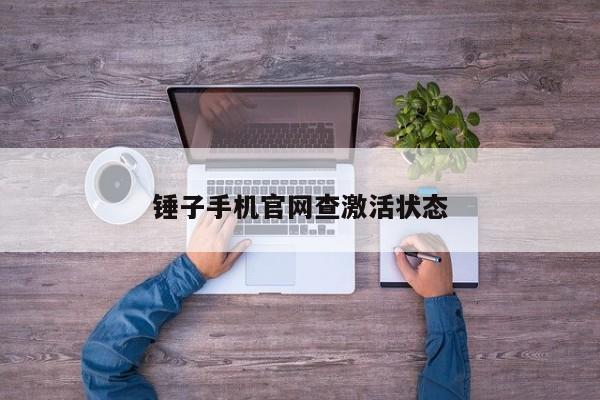 錘子手機(jī)官網(wǎng)查激活狀態(tài)
